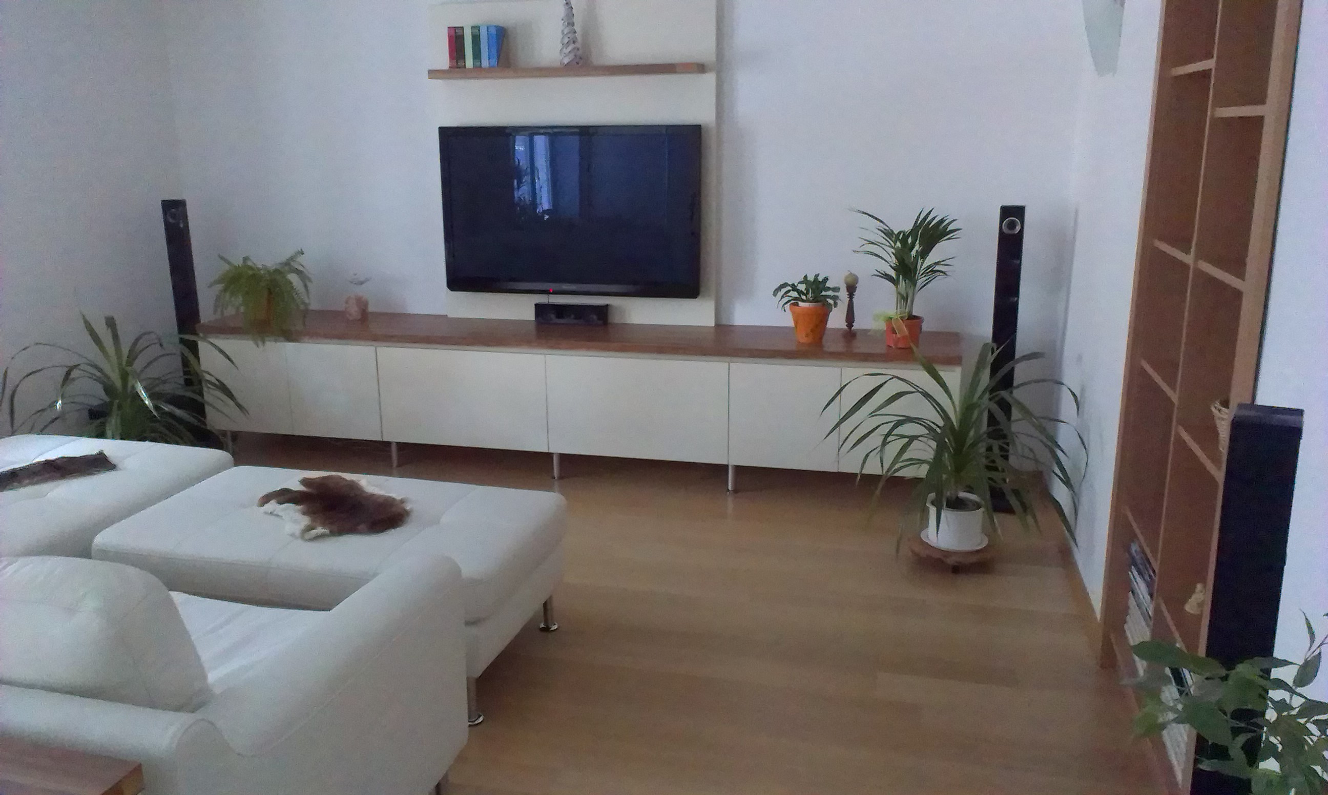 IMAG0125